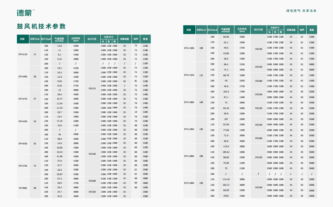 DFV - G系列螺杆风机(图2)